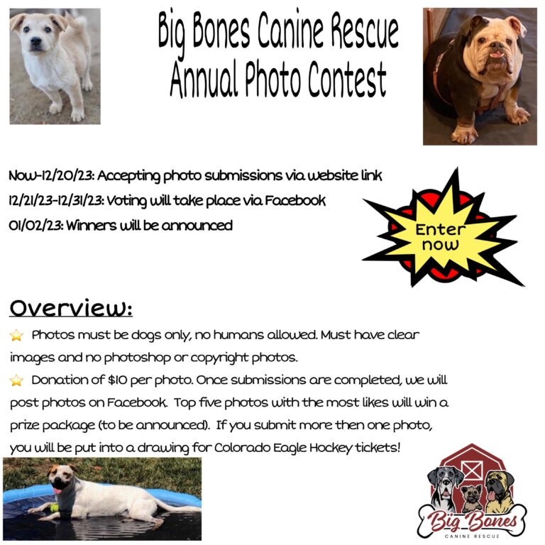 Flier Photo Contest Charity Dogs